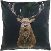 Unique living D- | Kussen AW2020 Print 45x45cm dessin 1 | Kussen woonkamer of slaapkamer