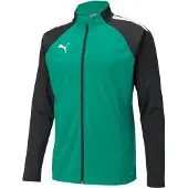 Puma Teamliga Training Jacket Grijs L Man