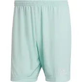 Adidas Entrada 22 Shorts Groen,Blauw S / Regular Man