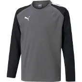 Puma Functioneel shirt 'TeamLiga' grijs / zwart / wit