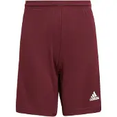 Adidas Shorts Squadra 21 - Bordeaux/Wit Kids