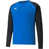 Puma Functioneel shirt 'Team Liga' blauw / zwart