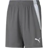 Puma Sportbroek 'TeamLiga' donkergrijs / offwhite