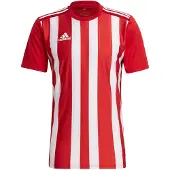 Adidas STRIPED 21 TRIKOT