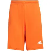 Adidas Squadra 21 Shorts Oranje 13-14 Years Jongen
