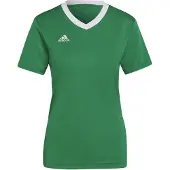 Adidas Tricot 'Entrada 22' groen / wit