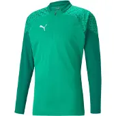 Puma Mannen, Sportief shirt, teamCUP Training 1/4 Zip Top (S), Groen, S