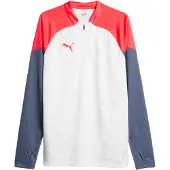 Puma Functioneel shirt 'IndividualCup' enziaan / lichtrood / wit