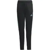 Adidas Pantalons Tiro 23 Club Training kind EU L