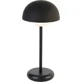 Reality ELLIOT - Tafellamp - Zwart mat - incl. 1x SMD 2W - Oplaadbaar - Dimbaar - Buitenverlichting - IP44