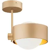 Euluna Plafondlamp Mado, dimbaar, messing / goud, Woon-/ Eetkamer, metaal, Modern, plafondlamp