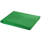 vidaXL Achtergrond zonder standaard chromakey 500x300 cm katoen groen