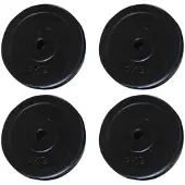 vidaXL Halterschijven 4 st 20 kg