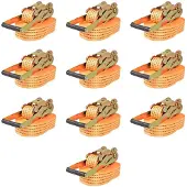 vidaXL Spanbanden 2 ton 8mx50mm oranje 10 st