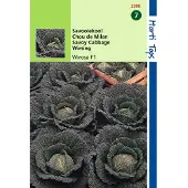 Hortitops - 2 stuks Savooiekool Wirosa F1 Hybride