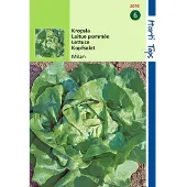 Hortitops 2 stuks - Hortitops - Kropsla Milan