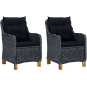 vidaXL Tuinstoelen 2 st met kussens poly rattan donkergrijs