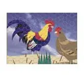 Giardino Zeskant verz. 50x1.0mm x 50cm x 10m