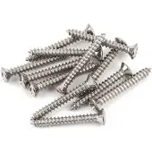 Fender 21422049 Chromen Brugmontageschroeven - Set van 12