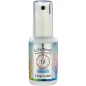 Lichtwesen Seraphis bey tinctuur 13