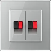 Livolo | Grijs | SR | Audio insteek | Audio insteek - Bekijk hier!