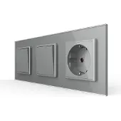 Livolo | Grijs | 1+1+SR | Aan/Uit | Wipschakelaar met wandcontactdoos