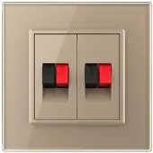 Livolo | Goud | SR | Audio insteek | Audio insteek - Bekijk hier!