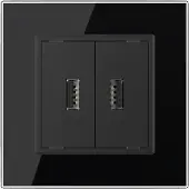 Livolo | Zwart | SR | Tweevoudige USB oplader - Bekijk hier!