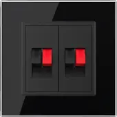 Livolo | Zwart | SR | Audio insteek | Audio insteek - Bekijk hier!