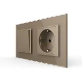 Livolo | Goud | 2+SR | Aan/Uit | Wipschakelaar met wandcontactdoos -