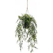 Driesprong Collection Zijdeplant Hangplant met pot Buxus kunstplant