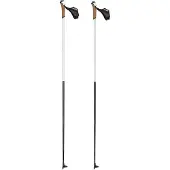 Rossignol Force 5 Stokken