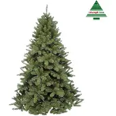 Triumph tree Scandia green 185