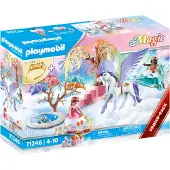 Playmobil Picknick met Pegasus Koets
