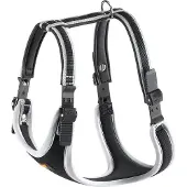Ferplast Ergocomfort P gordels M grijs (M, Hond, Algemeen), Kraag + Leiband