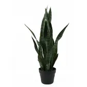 Present Time - Kunstplant Sansevieria - Donkergroen