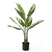 PT Living Kunstplant Calathea Green White