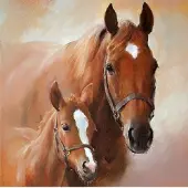 Ambiente 40x Wegwerp servetten paard met veulen 3-laags - Feestservetten