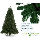 Holiday Tree Kerstboom, Arctische Fichte, 210 cm. Kerstboom - Feestboom
