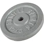 Gorilla Sports Halterschijf 10 kg Gietijzer