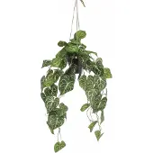 Emerald Anthurium hanging in pot 80 cm kunstplant