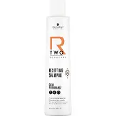 Schwarzkopf Professional R-TWO Resetting Shampoo