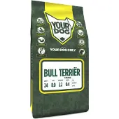 Yourdog Bull terrir senior
