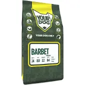 Yourdog Barbet senior