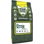 Yourdog Ierse setter volwassen