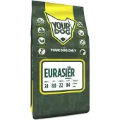 Yourdog Eurasir senior