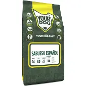 Yourdog Sabueso espanol senior