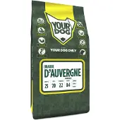 Yourdog Braque d'auvergne senior