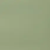 Cir Tegel 60 x 60 cm - Green - Keramiek - Vierkant - 3 stuks - 1,08 m2 - Universeel - Wandtegels - Tegels - 1075313