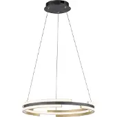 Paul Neuhaus Design hanglamp Q-Beluga 60cm